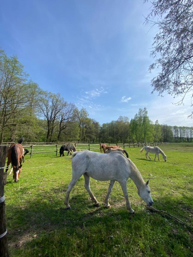 Inglotowka Pensionat Wolow  Exteriör bild